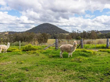 Farm landscape