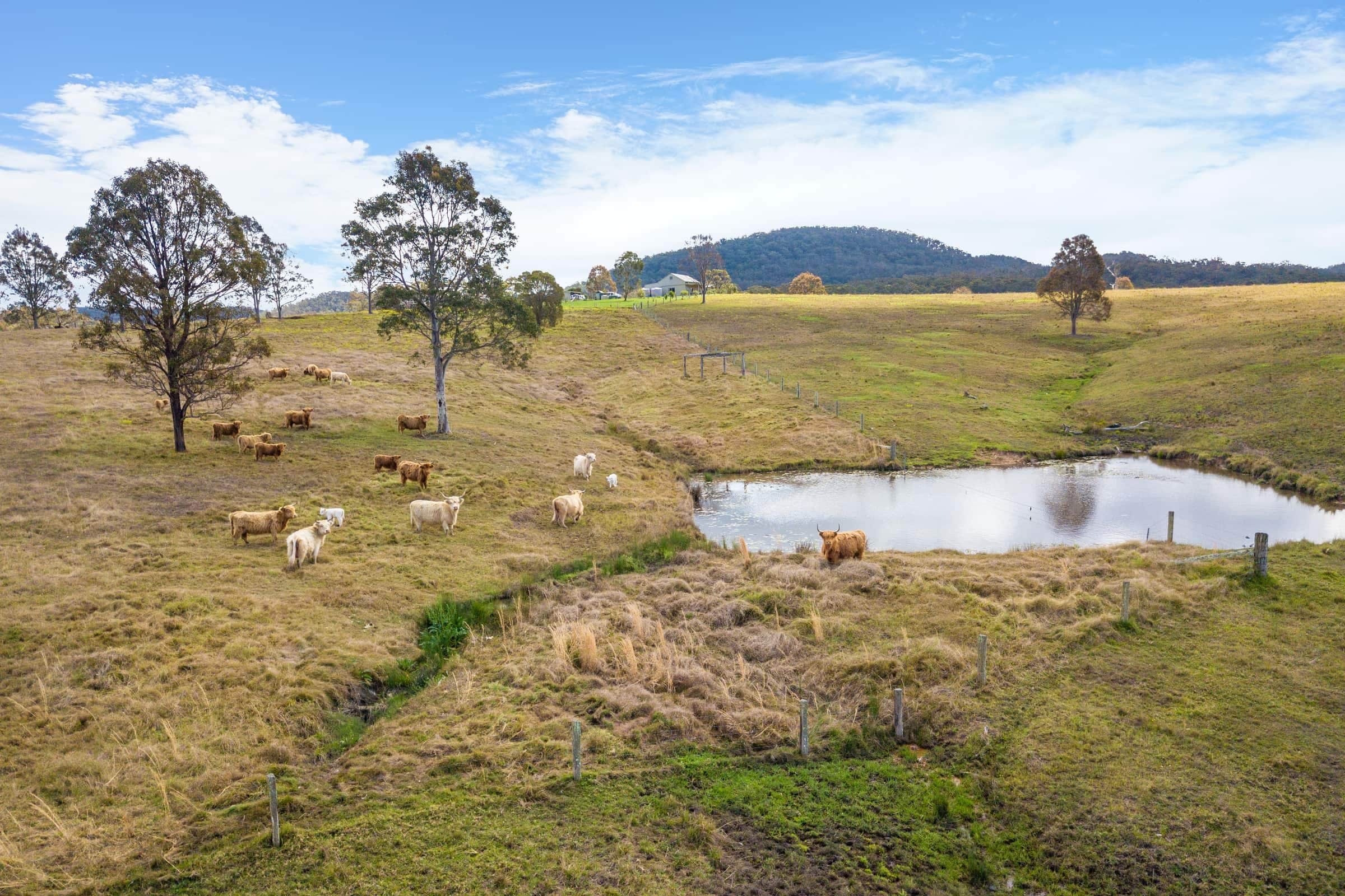 Designing Polyculture Systems: Creating Resilient Plant Communities